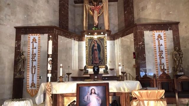 Santa Misa/Martes de la octava de Pascua (04/14/20) смотреть онлайн