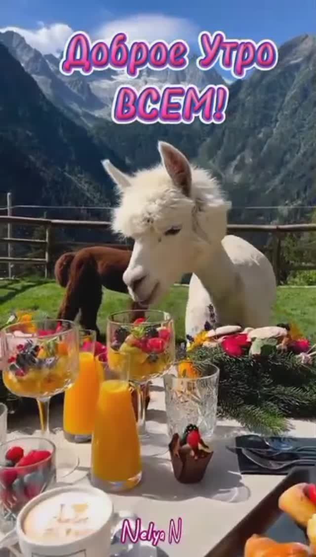 Доброе утро. Добрый вечер. ВидеоОткрытки на каждый день смотреть онлайн