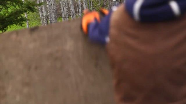 Intruder Bear | Wild Bear Rescue S02E01 | Go Wild смотреть онлайн