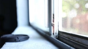 Canon EF 50MM F1.2 L (WITH SAMPLE IMAGES) REVIEW