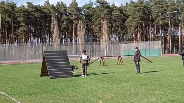 ФИЕЛИСС ЯВЕНГА