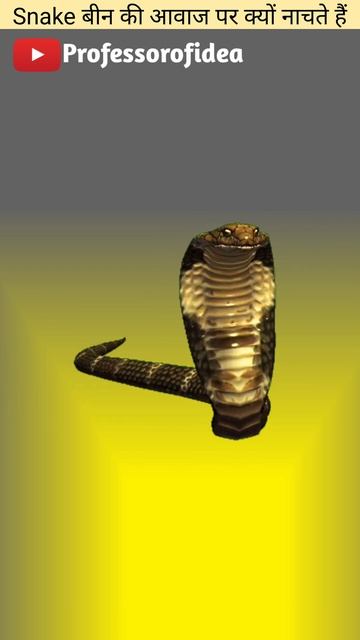 why sankes dance on Bhem sound #professorofidea #viral #snake #ytshorts #shorts #3dvideo #viralshor смотреть онлайн