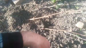 VID_20250416_171220.mp4