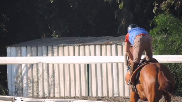 NICOSIA CYPRUS RACE CLUB #HORSES #HORSERIDING MORNING WORKOUT ТРЕНИРОВКИ ЛОШАДЕЙ ИППОДРОМ #КИПР2021 смотреть онлайн