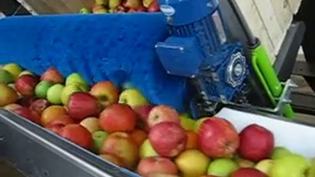 Сухая выгрузка контейнера смотреть онлайн