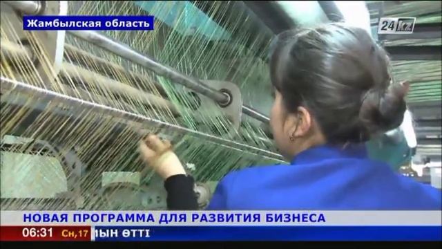 Новую программу для развития бизнеса представили в Южном Казахстане смотреть онлайн