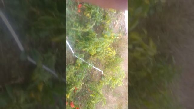 Знакомство смотреть онлайн