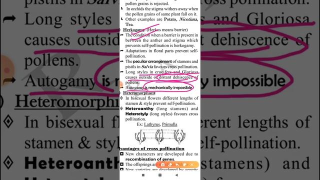 Audioscreen Note 9 SRFP