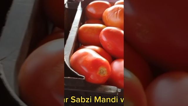peshawar Sabzi Mandi Potato onion tomato rate today #peshawarsabzimandiwithsaifullah #afghanistan смотреть онлайн