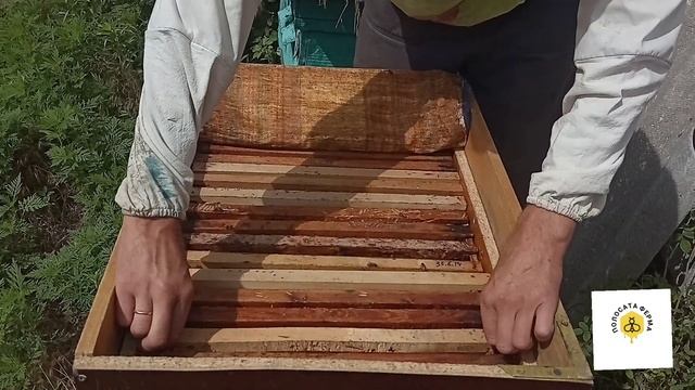 Бджола не іде в магазин. Як підняти бджолу в магазин. смотреть онлайн