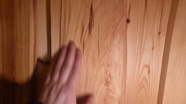 Woodson сделал шедевральный каркасник, а мы сделали из неё баню-лабораторию! смотреть онлайн