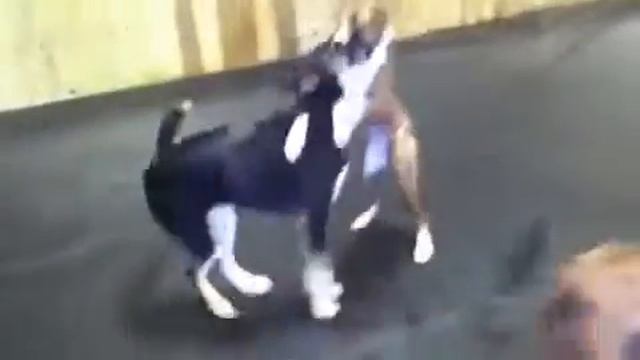 Rae and Lily смотреть онлайн