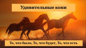 Удивительные кони. То, что было, То, что будет, То что есть.
#жизнь #судьба #песня #музыка #ансамбль