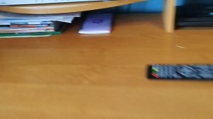 Обзор на DVD-диск Лунтик. "Новогодние приключения"