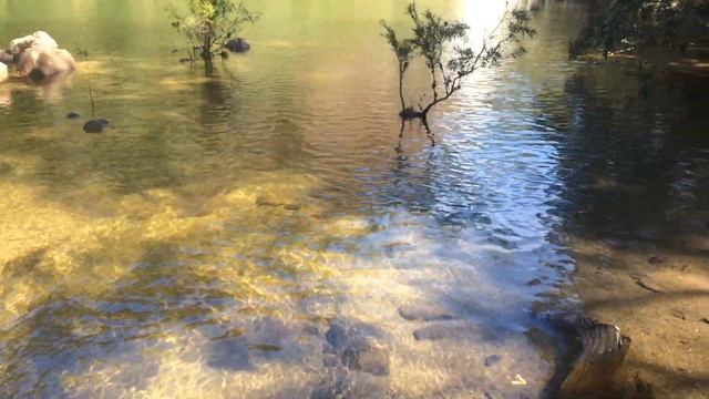 The Roaring Meg Falls (3), Bloomfield River, Far North Queensland, Australia, 8 July 2018 смотреть онлайн