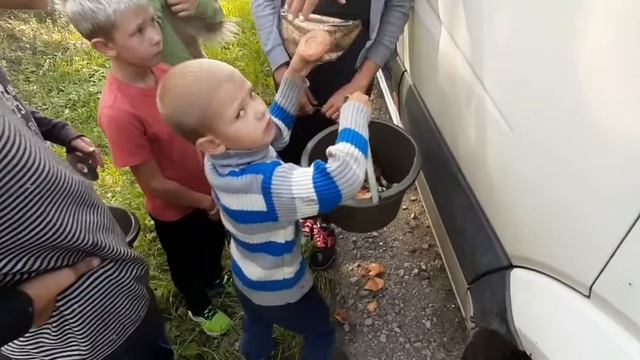 сходили за грибочками 🌲🌲🌲