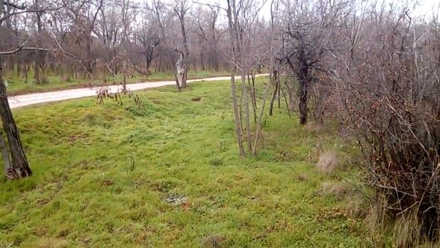 По дороге на Сечь смотреть онлайн