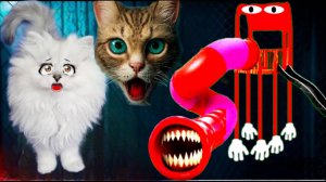 Никогда не Заказывай SLIDE EATER SCP 1562 в DEEP WEB !!!