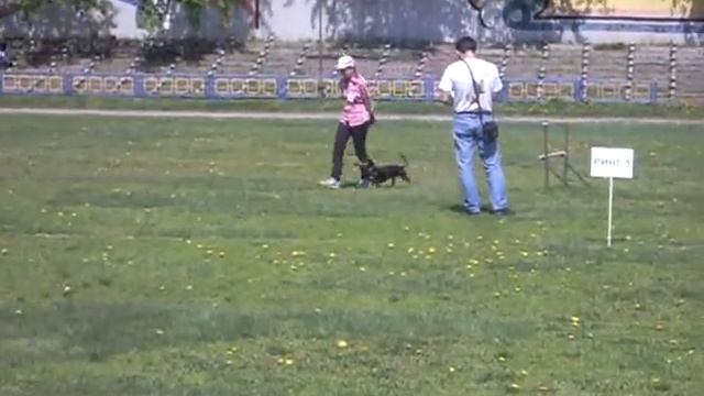 21.5.16 ОТКРЫТЫЙ ТУРНИР ПО СС ПАМЯТИ ГЕРОЯ РОССИИ ЮРЬЕВА В.И. смотреть онлайн