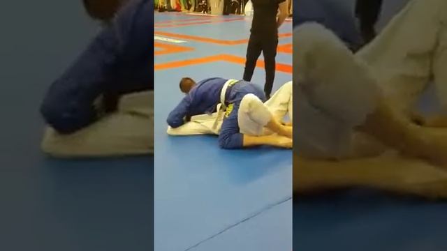 Allstars BJJ Pro open 2018 quarter final white belt смотреть онлайн