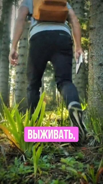 Просто так не создаются болезни #психосоматика #здоровье #гормоны #женскоездоровье смотреть онлайн