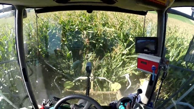Claas Jaguar 850 / Corn Silage 2020 /DriverView/GoPro смотреть онлайн