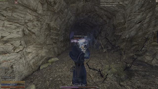 Бледный ползун