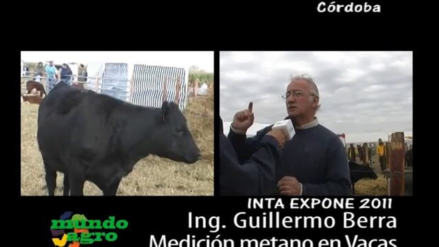 MUNDO AGRO SEMBRANDO COLSECOR 02LUN30MAY2011 - INTA EXPONE ING BERRA MEDICION METANOL EN VACAS смотреть онлайн