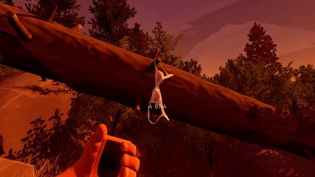Firewatch | Part 1 | The watchtower in the woods смотреть онлайн
