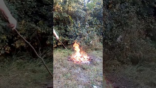 Костер в лесу