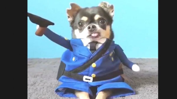 BEST CUBE COMPILATION #3 BEST COUB JOKES 2019 September (1)