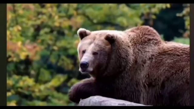 Шапарньова Вероніка, 8-В смотреть онлайн