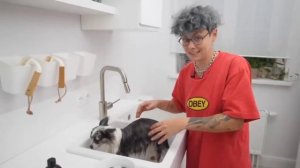 Anny Magic пробует на Софи шампуни Mypets