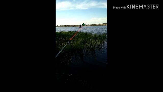 Рыбалка на Днестре. (17.05.2020) смотреть онлайн