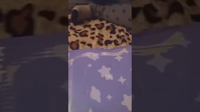 Обзор на игровой набор полицейского смотреть онлайн