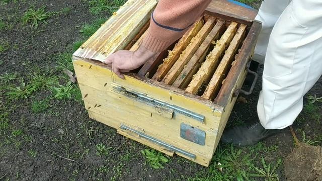 Первое расширение гнезда. смотреть онлайн