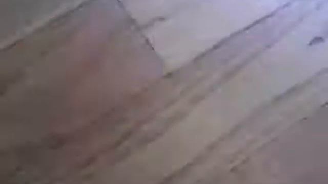 ★ОСЫ КОТОВ★ (читать описание) смотреть онлайн