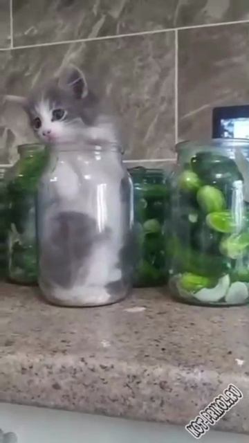 сюрприз в банке