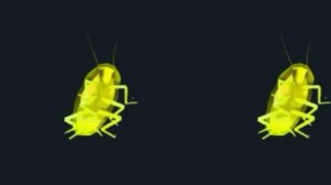 два  радужных таракана танцуют под песню ,,будни таракана"