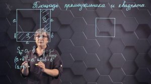 67. Площадь прямоугольника и квадрата. 8 класс