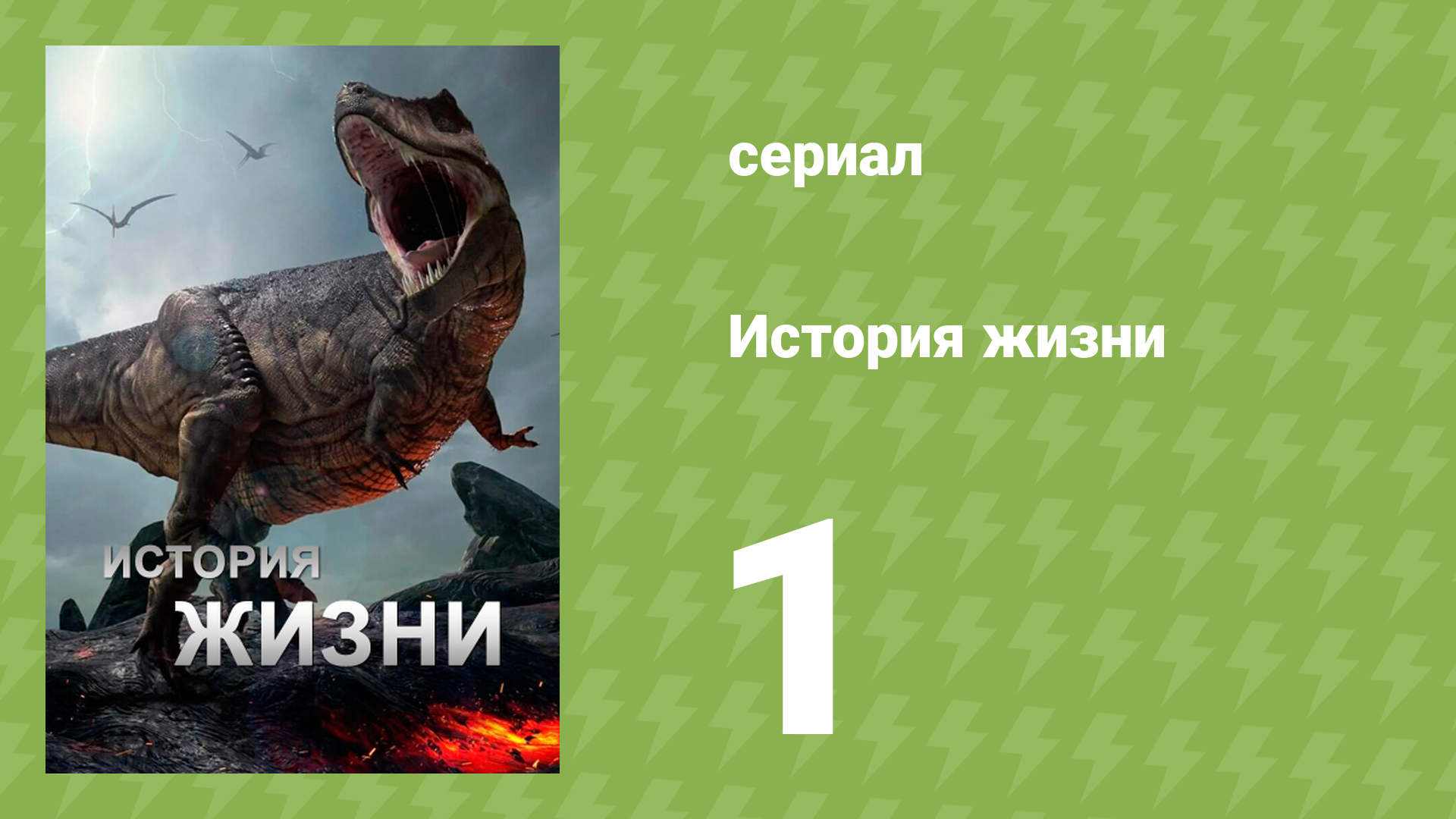 История жизни 1 серия «Растения, безмолвные правители Земли» (документальный сериал, 2013) смотреть онлайн