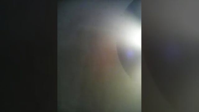 Grymzmuzyk. Ty Dolla $ign violent xc.s смотреть онлайн