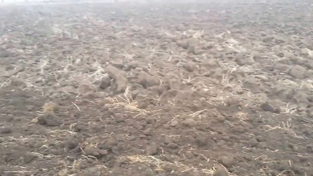 Полевой культиватор Krause 5635 -15,4 м смотреть онлайн