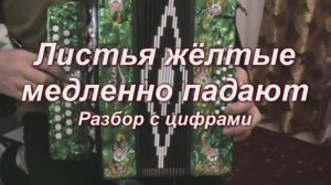 Листья желтые медленно падают. (049 гармонь с цифрами)