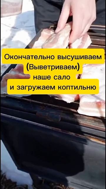 Копчёное сало по уральскому рецепту! смотреть онлайн