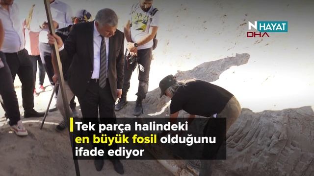 N Hayat... Kayseri'de 10 milyon yıllık fil fosili bulundu смотреть онлайн