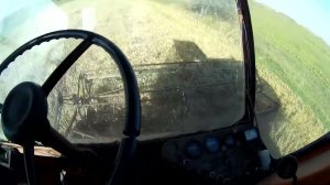 Комбайн Нива СК-5, обмолачиваем пшеницу на огороде 1 октября
