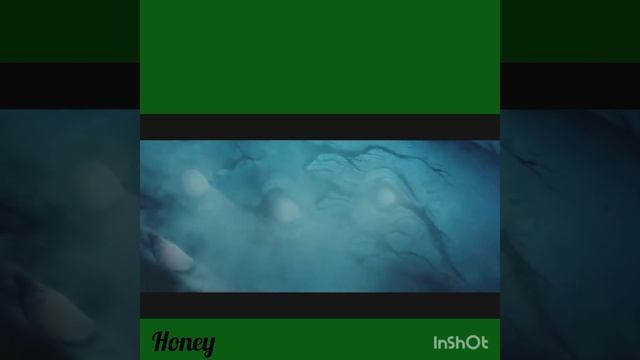 Spring 🌱 Blender Animation