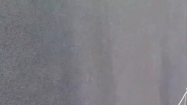 Прогулка с Жули на поводке смотреть онлайн