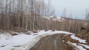 Старый охотник